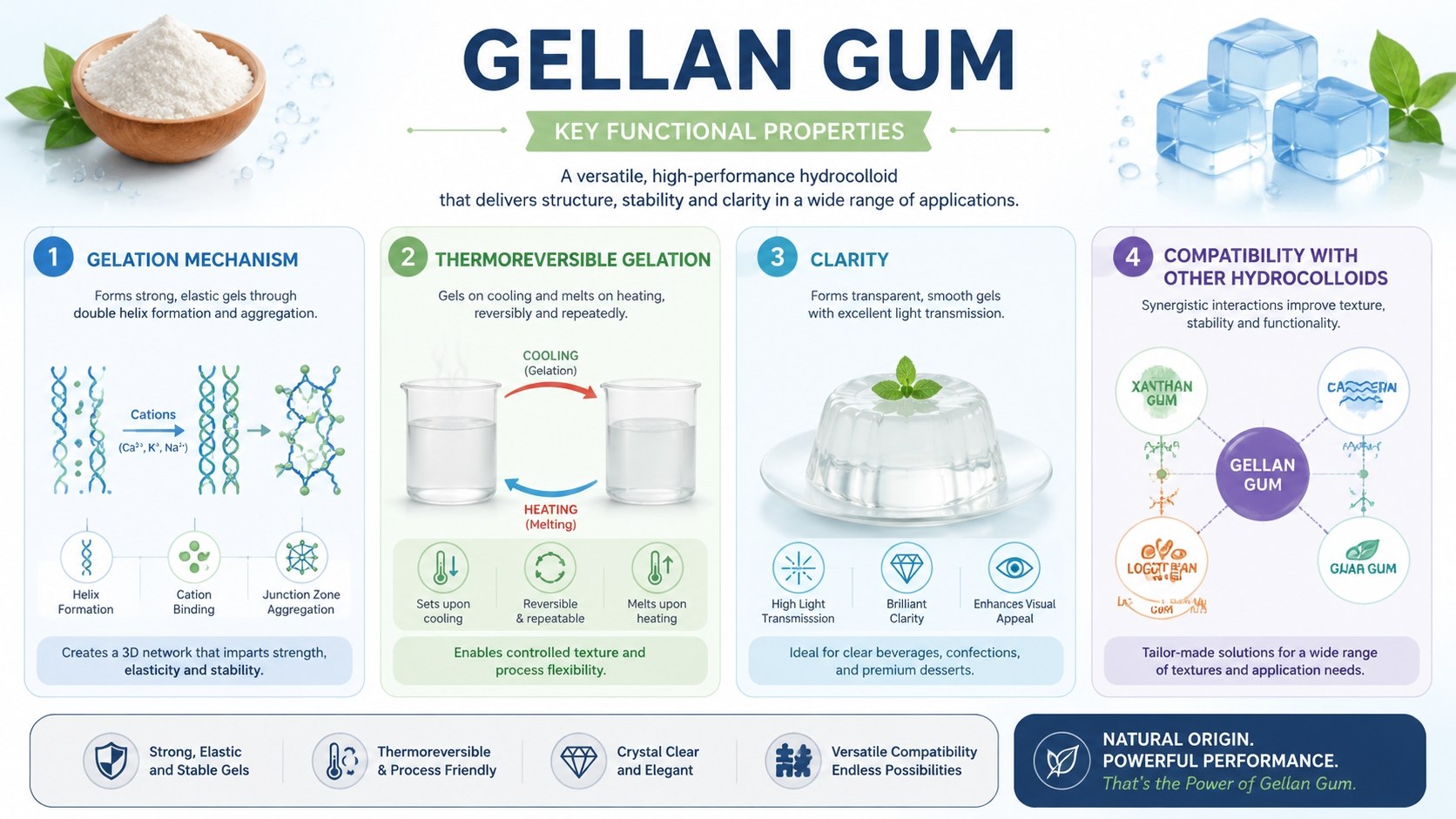 Gellan Gum Applications in Food and Pharmaceutical Industries